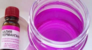 Popis škůdců brambor, ošetření a regulace